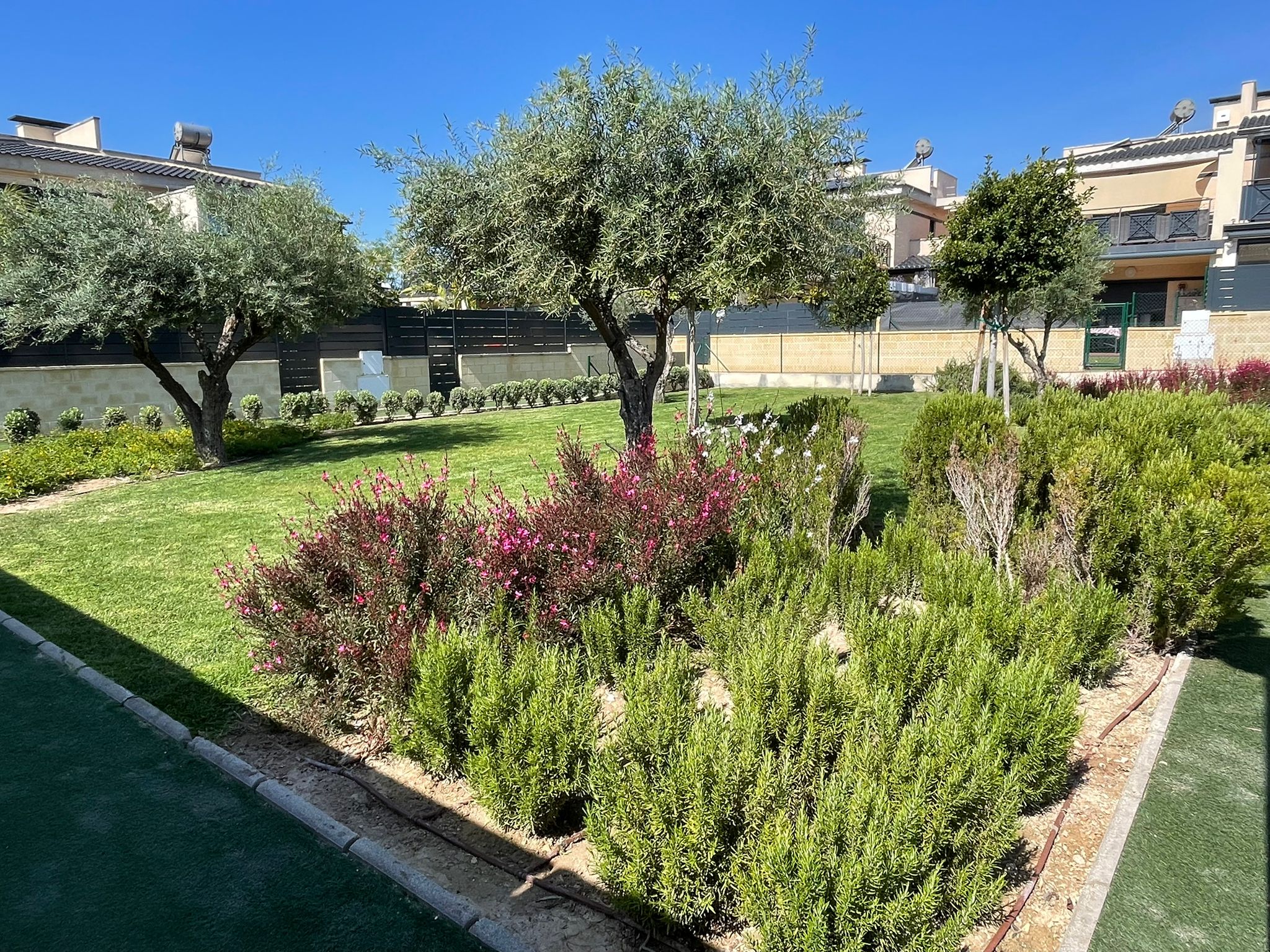 mantenimiento integral de jardines en Alicante mantenimiento integral de jardines en Alicante